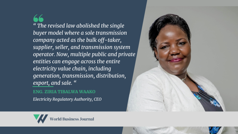 Regulatory Revisions Energize Electricity Sector Growth