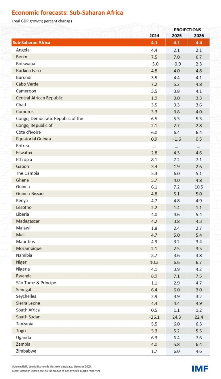 Sub-Saharan Africa’s 2025 Economic Outlook: Steady Growth Amid Global Uncertainty