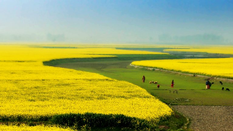Bangladesh Introduces Commission-Linked Investment Mobilization Framework to Strengthen Foreign Capital Pipeline